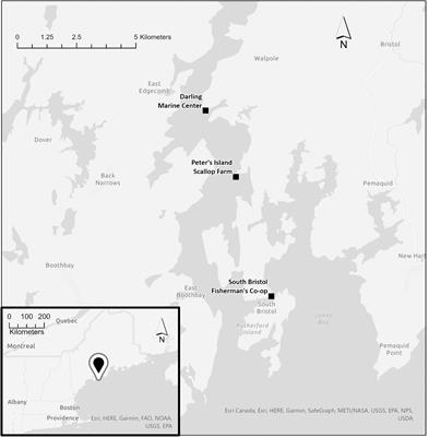 The Role of Invasion Status and Taxon of Basibionts in Marine Community Structure